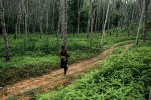 BIB: 
                            <button type="button" onclick="openModal(26339303)" class="btn btn-primary btn-sm float-right btn-popup" data-toggle="modal" data-target=".modal-high-quality">
                        <i class="fas fa-shopping-cart"></i> Add to Cart
                    </button>
                                            <button type="button" onclick="isThisMe(26339303, true)" class="btn btn-success btn-sm float-right btn-popup btn-isme hidden" data-toggle="tooltip" data-placement="bottom" title="นี่คือรูปของคุณใช่ไหม คลิกที่นี่เพื่อเอาเข้าอัลบั้ม">
                        <i class="fas fa-plus"></i> Add to album
                    </button>
                    <button type="button" onclick="isThisMe(26339303, false)" class="btn btn-warning btn-sm float-right btn-popup btn-isnotme hidden">
                        <i class="fas fa-ban"></i> Remove from album
                    </button>